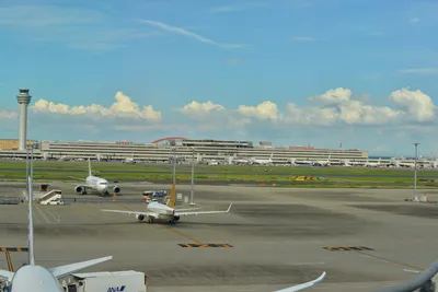 DSC_4059 (Large).JPG